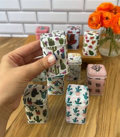 تصویر قوطى فلزى كاكتوس 