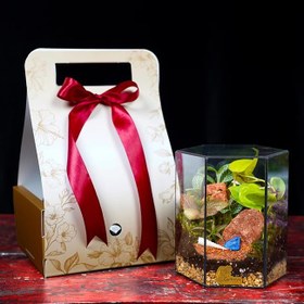 تصویر تراریوم مدل هگزا 