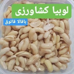 تصویر باقالا قاتوق شمالی در بسته های نیم کیلویی 