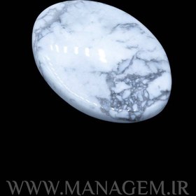 تصویر نگین هولیت 