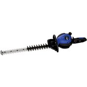 تصویر شمشاد زن بنزینی 1 اسب بخار هیوندای TURBO 600 