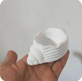 تصویر صدف حلزونی دکوری (کد906) 