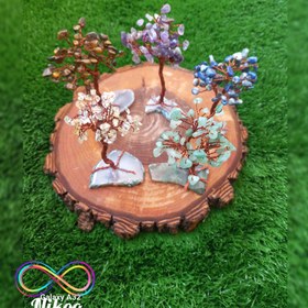 تصویر درختچه چشم ببر 