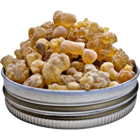 تصویر کندر خوراکی 