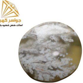 تصویر نگین شجر زمستانی (کد۷۷) 