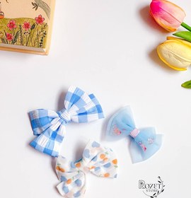 تصویر گل سر انبری رنگ آبی 