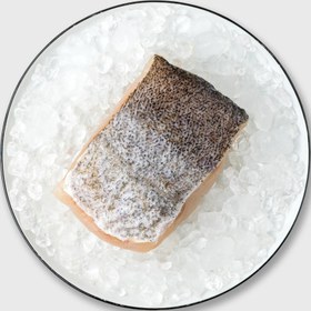 تصویر ماهی سنگسر شهری 