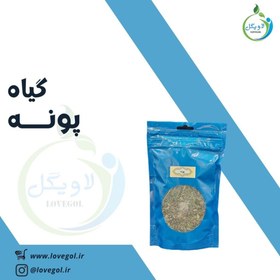 تصویر پونه کوهی بسته 100گرمی اردن کیفیت ممتاز 