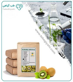 تصویر میوه کیوی خشک فله 