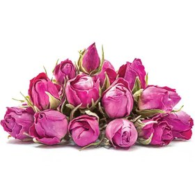 تصویر گل محمدی 