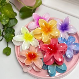 تصویر کلیپس پلیمریا بزرگ 