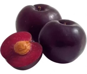 تصویر آلو خاکی خونی 