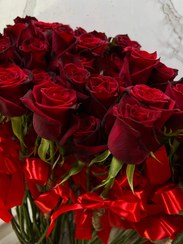 تصویر تک شاخه گل رز فلوبار 