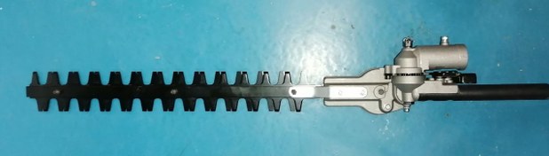 تصویر الحاقی شمشاد زن علفزن 