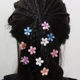 تصویر کلیپس شکوفه رنگی 