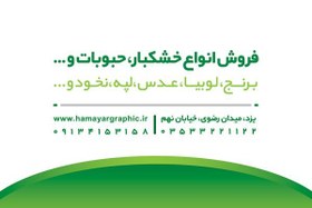 تصویر طرح کارت ویزیت فروشگاه آجیل و خشکبار 