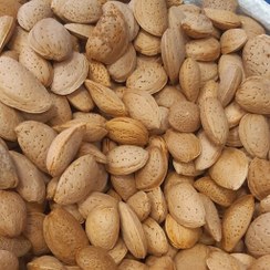 تصویر بادام سنگی (درختی) ایرانی با مغز شیرین و درصد مغز بالا 