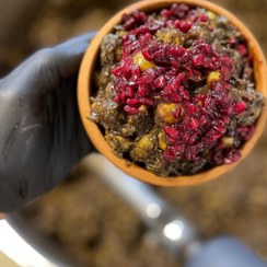 تصویر زیتون پرورده ویژه گردوئی (۵۰۰ گرم) Grown olives vip