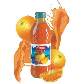 تصویر نوشیدنی آبمیوه مگابیز 300 میلی لیتر شیشه ای شل 24 عددی - هلو Megabiz juice drink 300 ml loose glass 24 pieces