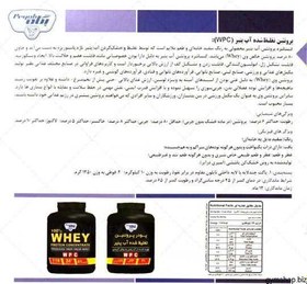 تصویر پودر پروتئین وی پگاه 1250 گرم Pegah Whey Protein Concentrate 1250g