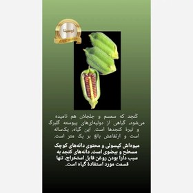 تصویر روغن کنجد یک لیتری 