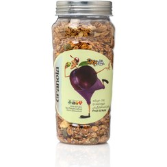 تصویر گرانولا روزانه مخلوط مغز و میوه 