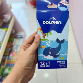 تصویر مداد رنگی 12+1 برند DOLPHIN 