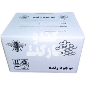 تصویر جعبه ارسال ملکه 