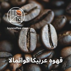 تصویر قهوه عربیکا گواتمالا 