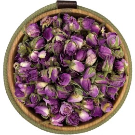 تصویر غنچه گل محمدی داراب شیراز 