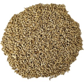 تصویر تخم کتان 