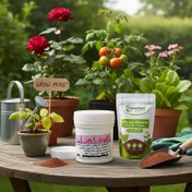 تصویر کود آهن کلاته پودری 6 درصد گرومور آمریکا | تغذیه مؤثر و رفع کمبود آهن گیاه 