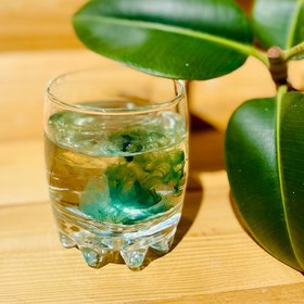 تصویر شربت کلروفیل پلاس حجم ۳۰ میلی لیتر حاوی عصاره اسپیرولینا و ویتامین‌ها 