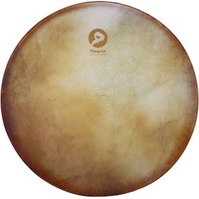 تصویر دف متاع پور 