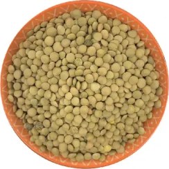 تصویر عدس سبز درشت کانادایی درجه یک First class Canadian green lentils