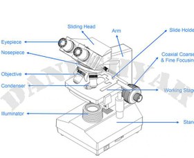 تصویر میکروسکوپ دوچشمی 1600برابر 