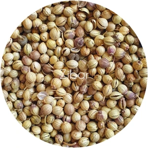 تصویر فروشگاه زیبار