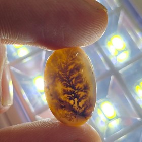 تصویر عقیق شجر 