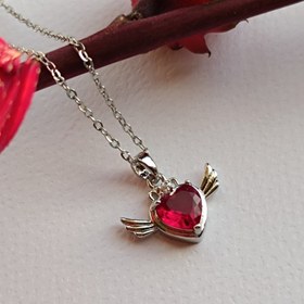 تصویر قلب پرنده 