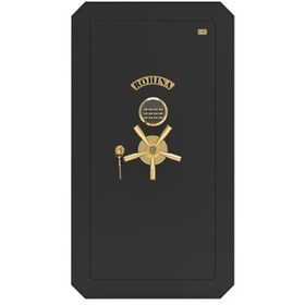 تصویر گاو صندوق T1000 