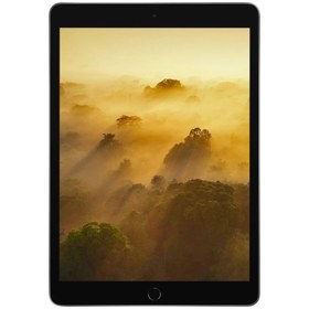 تصویر تبلت استوک اپل مدل iPad (9th Generation) 10.2-Inch Wi-Fi 2021 ظرفیت 256 گیگابایت 