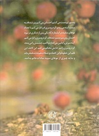 تصویر کتاب کوچه باغ انار! به ماندنم عادت نکن اثر حمیدرضا بشیری فراز 