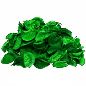 تصویر فروشگاه شادی مارکت شاپ