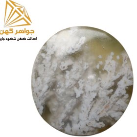 تصویر نگین شجر زمستانی (کد۷۷) 