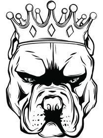 تصویر پلاک BERIL - 5 سانت / 4 حک / طلایی 