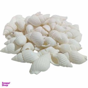 تصویر صدف تزیینی مدل 15 KMS وزن 40 گرم 