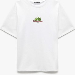 تصویر تیشرت آستین کوتاه مردانه کوتون مدل 5SAM10134HK 