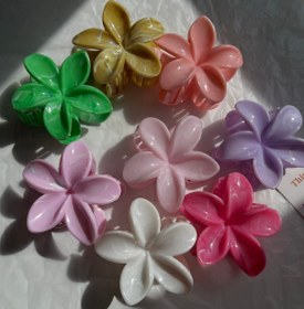 تصویر کلیپس گل پلومریا ماربل 