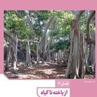 تصویر فصل 6 زیست دهم (فیلم آموزشی) 