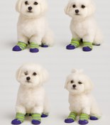 تصویر پاپوش سگ و گربه 